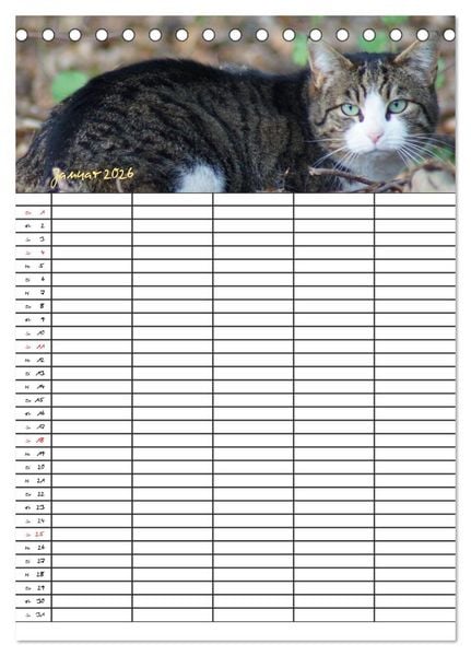 Produktbild: Bauernhoftiere Familienplaner (Tischkalender 2026 DIN A5 hoch), CALVENDO Monatskalender