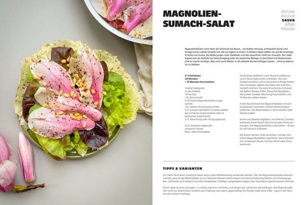 Produktbild: S&uuml;&szlig;. Salzig. Sauer. Bitter. Umami.