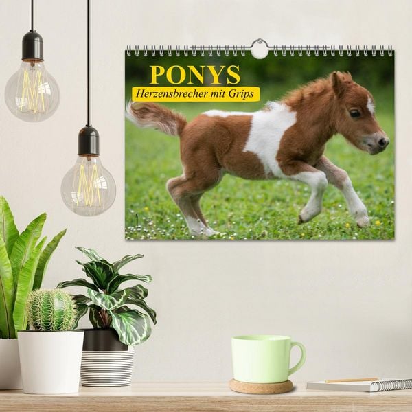 Produktbild: Ponys. Herzensbrecher mit Grips (Wandkalender 2026 DIN A4 quer), CALVENDO Monatskalender