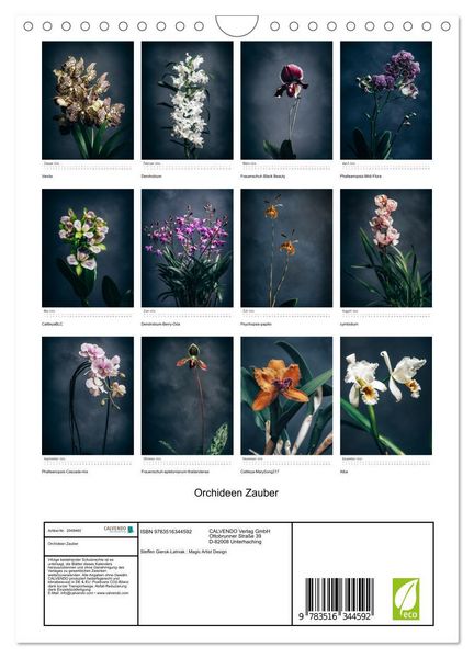 Produktbild: Orchideen Zauber (Wandkalender 2026 DIN A4 hoch), CALVENDO Monatskalender
