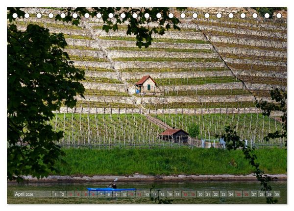 Produktbild: Weinbergh&auml;uschen - Schutz- und Werkzeughaus f&uuml;r den Weing&auml;rtner (Tischkalender 2026 DIN A5 quer), CALVENDO Monatskalender