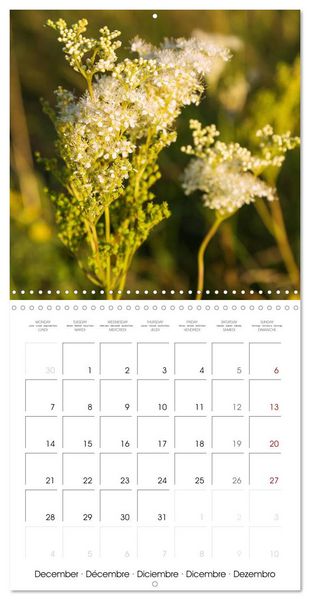 Produktbild: Herbal Haven. Enchanting Healing Plants (Wall Calendar 2026 12 &times; 12 Inch) CALVENDO 12 Month Wall Calendar