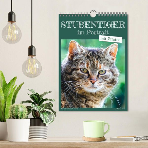Produktbild: Stubentiger im Portrait (Wandkalender 2026 DIN A4 hoch), CALVENDO Monatskalender