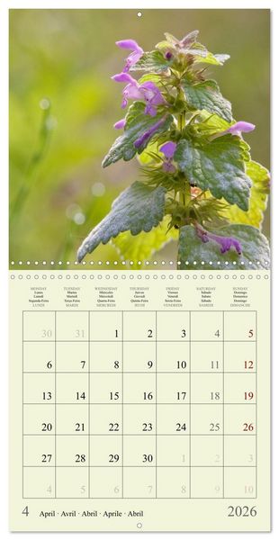 Produktbild: Petites fleurs color&eacute;es (Calendrier mural carr&eacute; 2026 30x30 cm) Calendrier double avec une page pour vos prises de notes