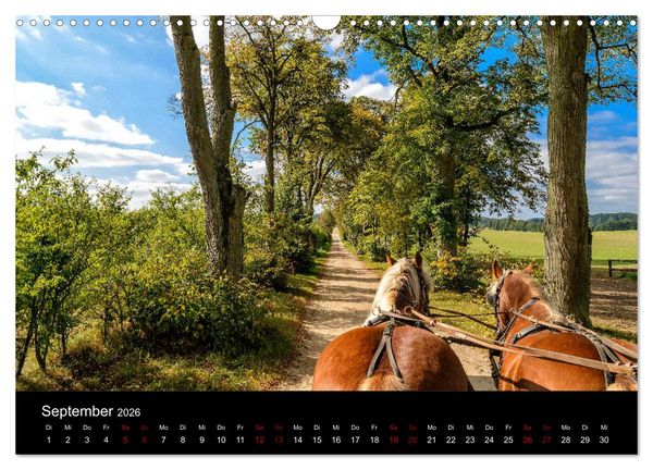 Produktbild: Polen - Reise durch unser sch&ouml;nes Nachbarland (Wandkalender 2026 DIN A3 quer), CALVENDO Monatskalender