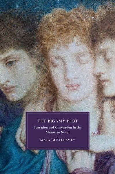 Produktbild: The Bigamy Plot