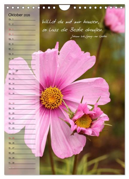 Produktbild: Blumen & Zitate / Geburtstagskalender (Wandkalender 2026 DIN A4 hoch), CALVENDO Monatskalender