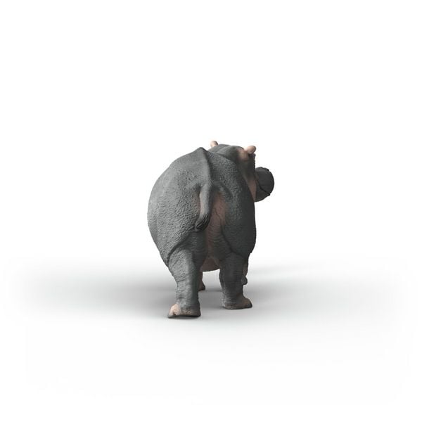 Produktbild: schleich&reg; 14938 Flusspferd