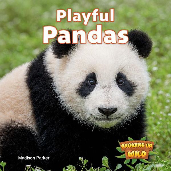 Produktbild: Playful Pandas