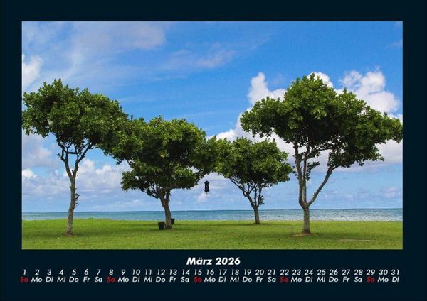 Produktbild: B&auml;ume 2026 Fotokalender DIN A4