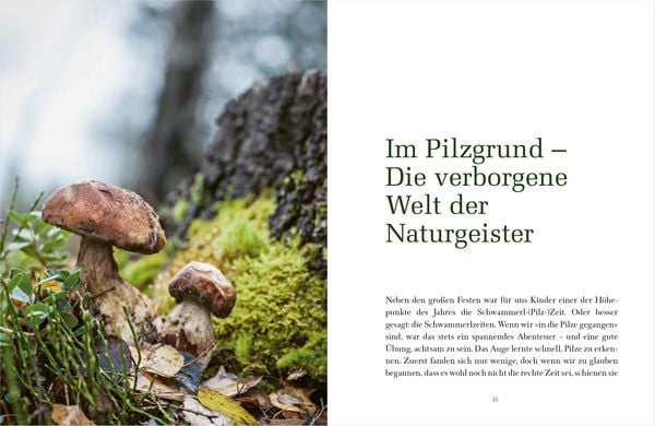 Die Magie des Waldes