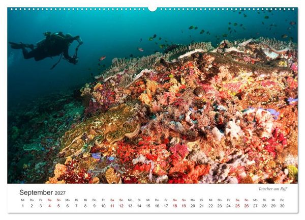 Produktbild: Unterwasser - eine bunte Welt (hochwertiger Premium Wandkalender 2027 DIN A2 quer), Kunstdruck in Hochglanz