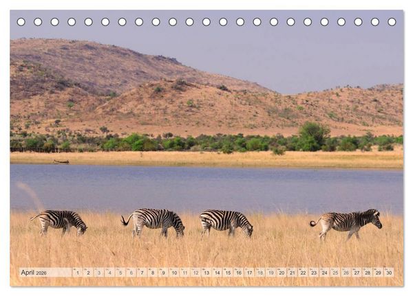 Produktbild: Afrikas Tierwelt Christian Heeb (Tischkalender 2026 DIN A5 quer), CALVENDO Monatskalender