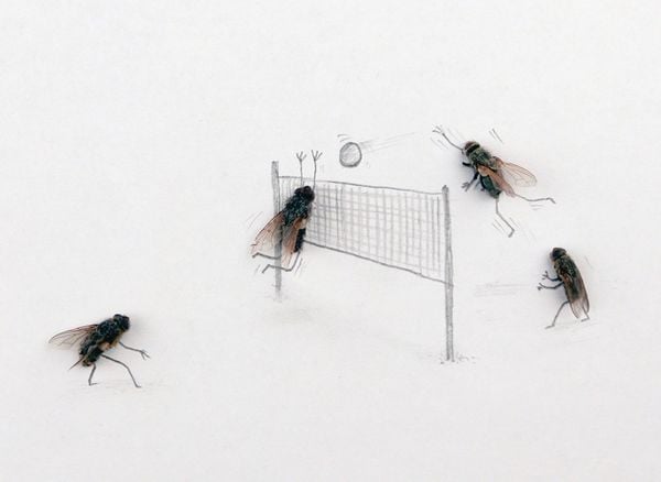 Produktbild: Das geheime Leben der Fliegen