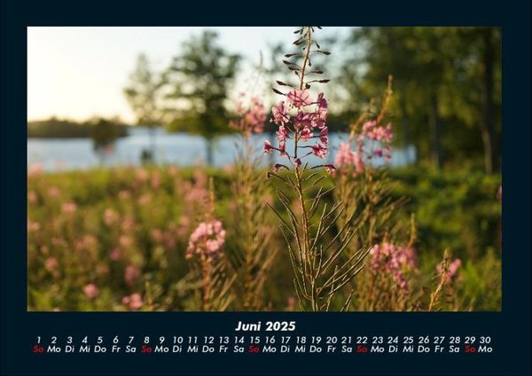 Produktbild: Blumenkalender 2025 Fotokalender DIN A4