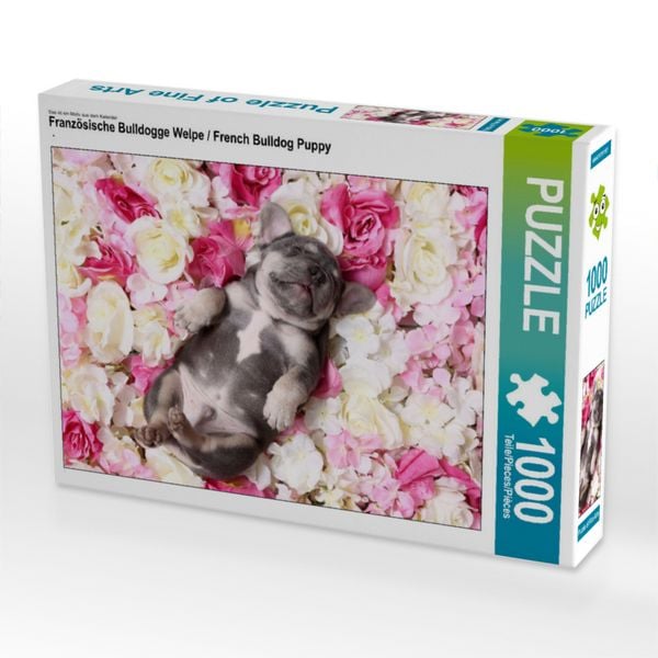 Produktbild: CALVENDO Puzzle Franz&ouml;sische Bulldogge Welpe / French Bulldog Puppy 1000 Teile Lege-Gr&ouml;&szlig;e 640 x 480 cm Foto-Puzzle Bild von Jeanette Hutfluss