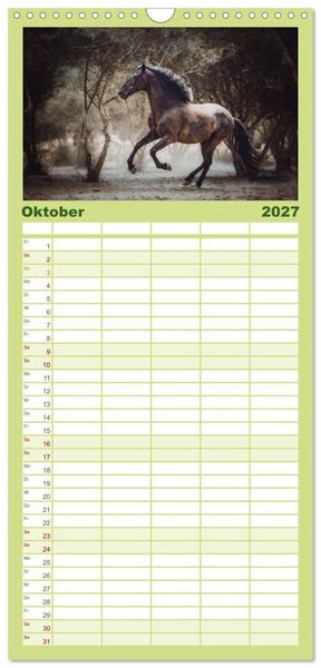 Produktbild: Familienplaner 2027 - Die Faszinierende Welt der Pferde mit 5 Spalten (Wandkalender, 21 x 45 cm) CALVENDO