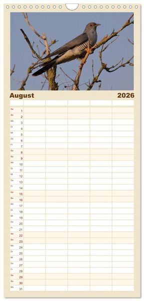 Produktbild: Familienplaner 2026 - V&ouml;gel ganz nah mit 5 Spalten (Wandkalender, 21 x 45 cm) CALVENDO
