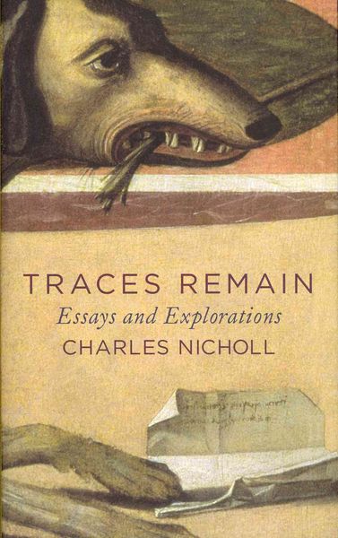 Produktbild: Traces Remain