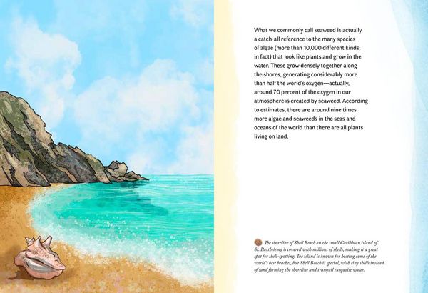 Produktbild: By the Sea