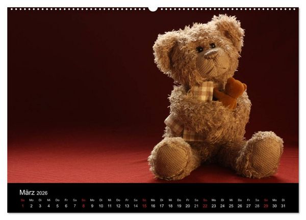 Produktbild: Herr Nopf ist da! (Wandkalender 2026 DIN A2 quer), CALVENDO Monatskalender