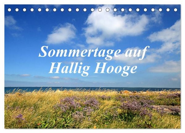 Produktbild: Sommertage auf Hallig Hooge (Tischkalender 2026 DIN A5 quer), CALVENDO Monatskalender