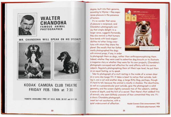 Produktbild: Walter Chandoha. Dogs. Photographs 1941&ndash;1991