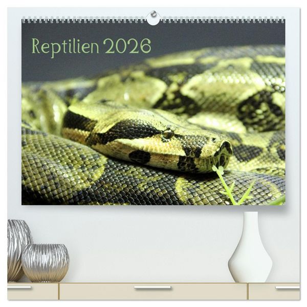 Reptilien 2026 (hochwertiger Premium Wandkalender 2026 DIN A2 quer), Kunstdruck in Hochglanz