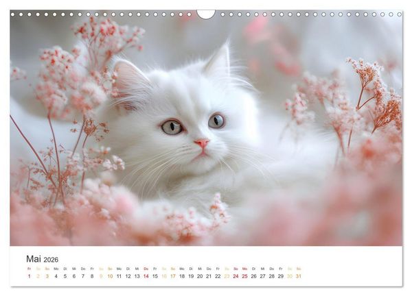 Produktbild: Katzen - sanfte Sch&ouml;nheiten (Wandkalender 2026 DIN A3 quer), CALVENDO Monatskalender
