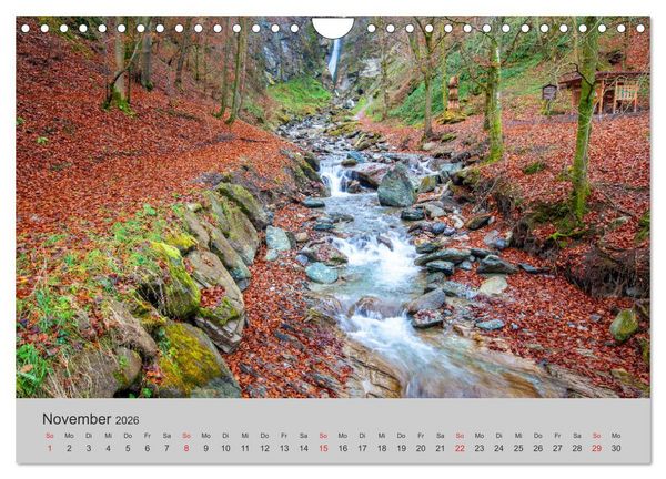 Produktbild: Komm, ich zeige dir den Wald (Wandkalender 2026 DIN A4 quer), CALVENDO Monatskalender