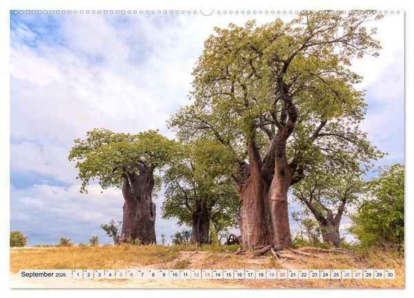 Produktbild: Wildnis Okavango-Delta (hochwertiger Premium Wandkalender 2026 DIN A2 quer), Kunstdruck in Hochglanz