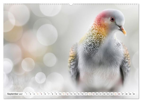 Produktbild: Lichtperlen (Wandkalender 2027 DIN A2 quer), CALVENDO Monatskalender