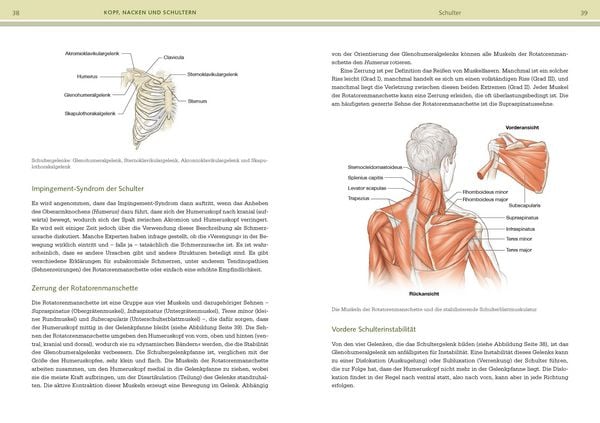 Produktbild: Pr&auml;vention von Sportverletzungen &ndash; Anatomie