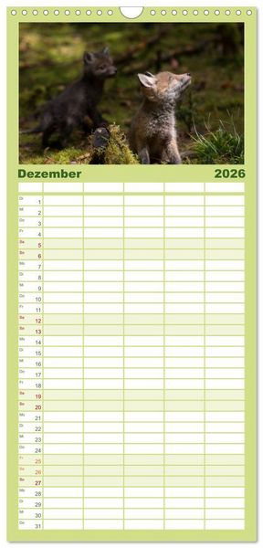 Produktbild: Familienplaner 2026 - Bei den Jungf&uuml;chsen mit 5 Spalten (Wandkalender, 21 x 45 cm) CALVENDO