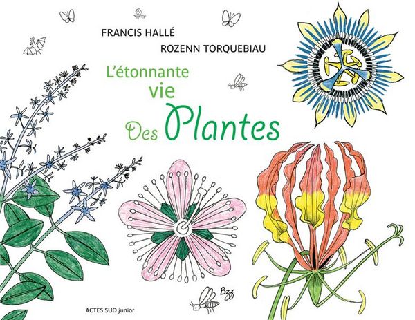 Produktbild: L'&eacute;tonnante vie des plantes