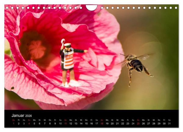 Produktbild: Die gro&szlig;e Welt (Wandkalender 2026 DIN A4 quer), CALVENDO Monatskalender