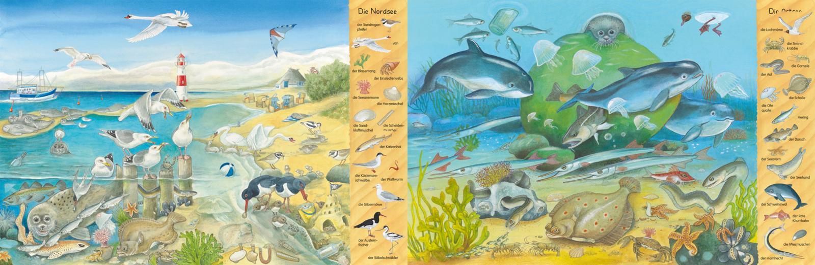 Mein erstes Wimmelbuch: Am Meer
