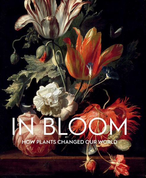Produktbild: In Bloom