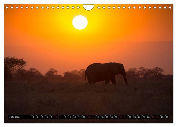 Produktbild: Tansania - Tierwanderung in der Serengeti (Wandkalender 2026 DIN A4 quer), CALVENDO Monatskalender