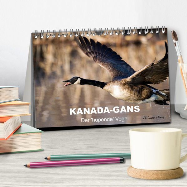 Produktbild: KANADA-GANS - Der 'hupende' Vogel (Tischkalender 2026 DIN A5 quer), CALVENDO Monatskalender