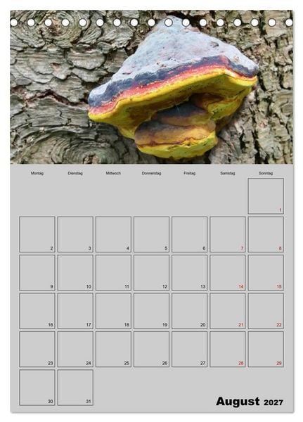 Produktbild: Quer durch die Pilze (Tischkalender 2027 DIN A5 hoch), CALVENDO Monatskalender