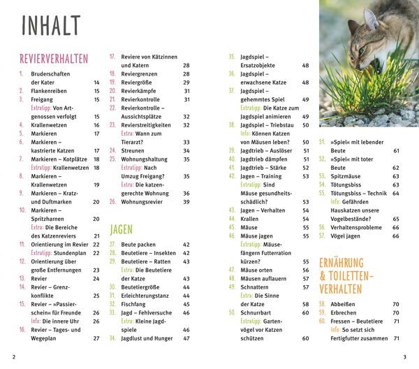 Produktbild: 300 Fragen zum Katzenverhalten