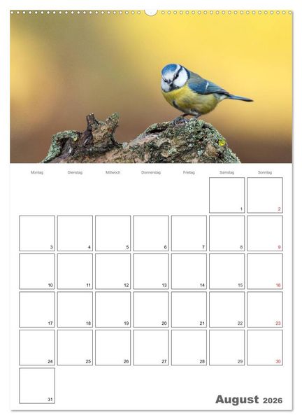 Produktbild: V&ouml;gel im heimischen Garten (hochwertiger Premium Wandkalender 2026 DIN A2 hoch), Kunstdruck in Hochglanz