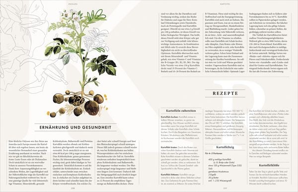Produktbild: Das Wesentliche