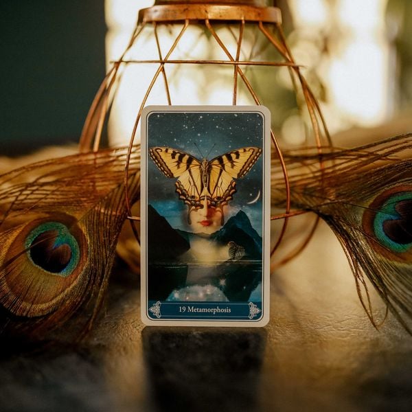 Produktbild: Christephania Kipper - 36 cards & booklet GB (english oracle)