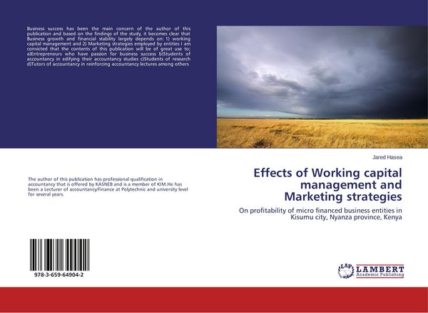 Produktbild: Effects of Working capital management and Marketing strategies