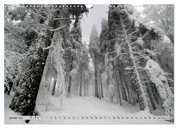Produktbild: Splendeurs des Vosges (Calendrier mural 2026 DIN A3 vertical), CALVENDO calendrier mensuel