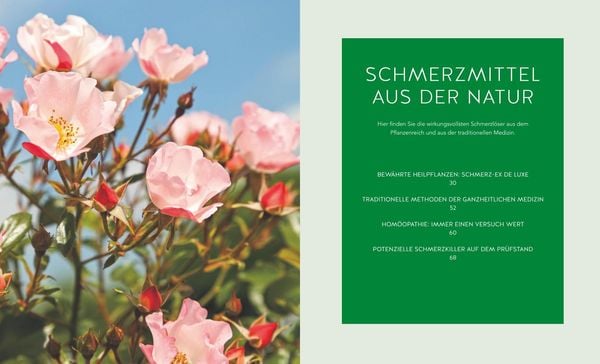 Natürliche Schmerzkiller