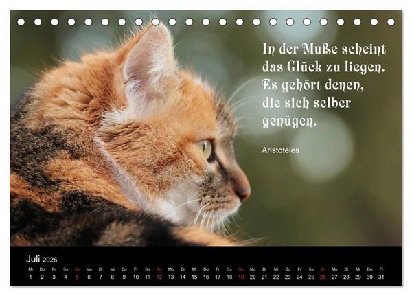 Produktbild: Gl&uuml;ckskatze - Mit Zitaten zum Thema Gl&uuml;ck (Tischkalender 2026 DIN A5 quer), CALVENDO Monatskalender