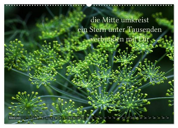 Produktbild: Haiku - Gedichte in 17 Silben (Wandkalender 2026 DIN A2 quer), CALVENDO Monatskalender